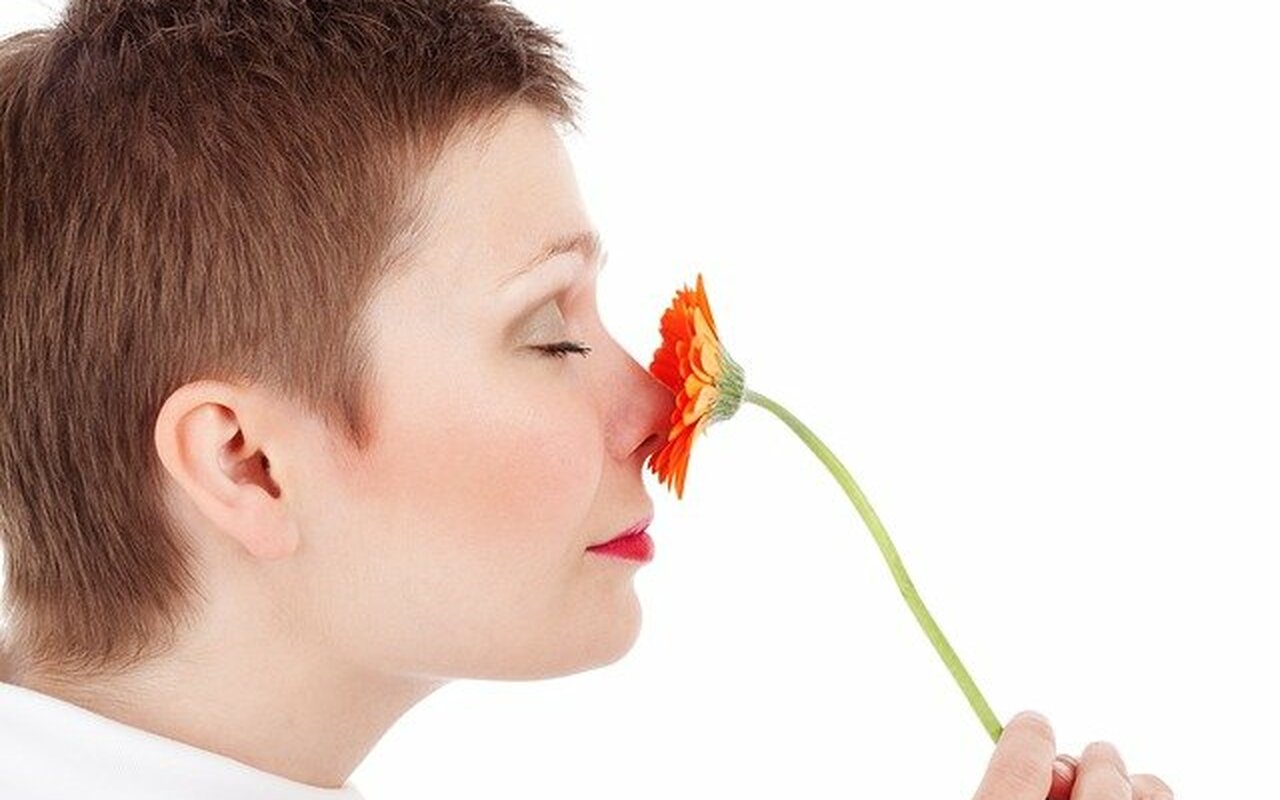 Novo istraživanje: Kako „trening mirisa“ može pomoći u prevazilaženju postvirusnog gubitka ili izobličenja čula mirisa
