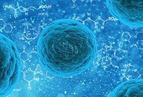 Šta znači nalaz streptokoka u urinu?