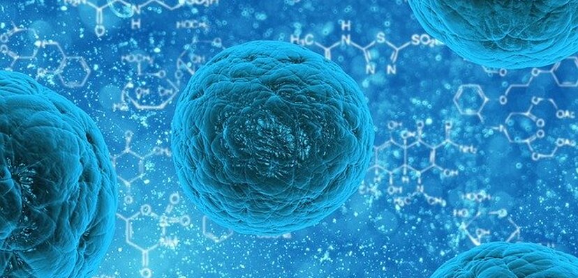 Imunitet: Kolika je uloga T-ćelija u borbi protiv korone?