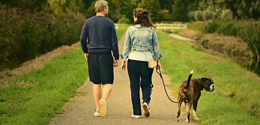 Šetnja psa doprinosi i vašem zdravlju