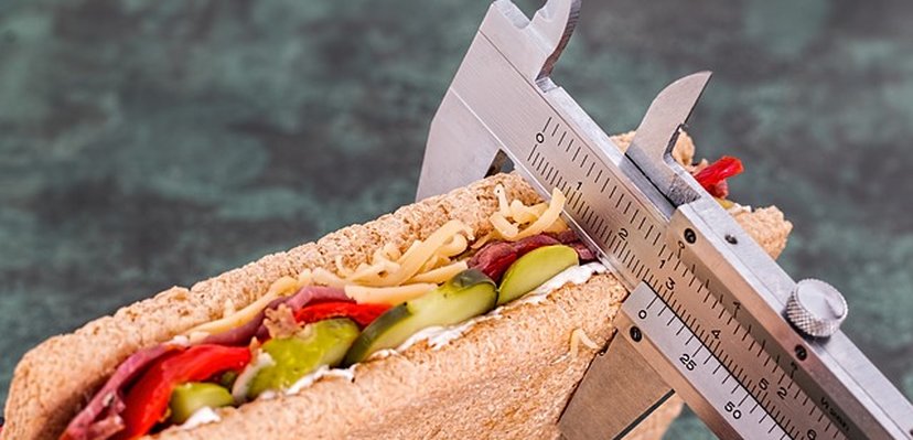 Borba protiv gojaznosti - važna životna, ali i ekonomska investicija