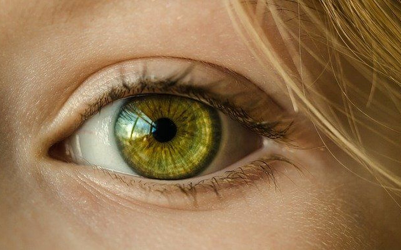 Hrana zaista utiče na zdravlje očiju? 