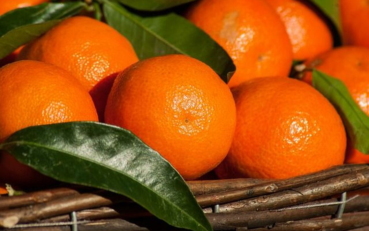 Mandarine dodajte na listu superhrane, evo i zašto