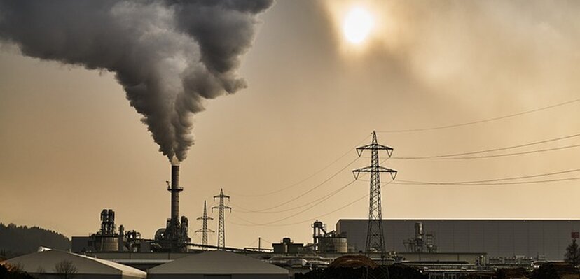 Ko je najviše pogođen zagađenjem vazduha?