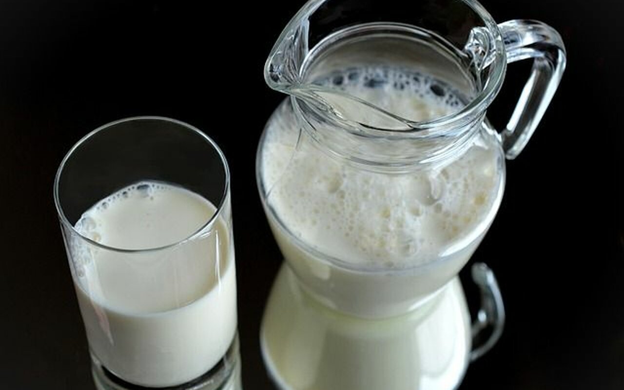 Svetski dan mleka: Zašto nam je mleko potrebno u ishrani?