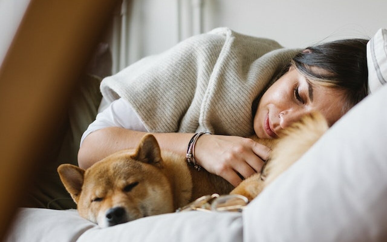 Da li je uopšte zdravo spavati sa kućnim ljubimcima? 