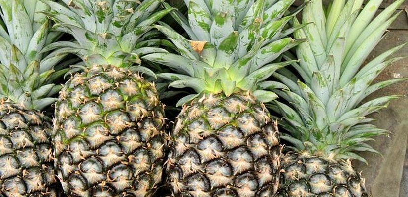 Da li znate koliko je blagotvoran ananas?
