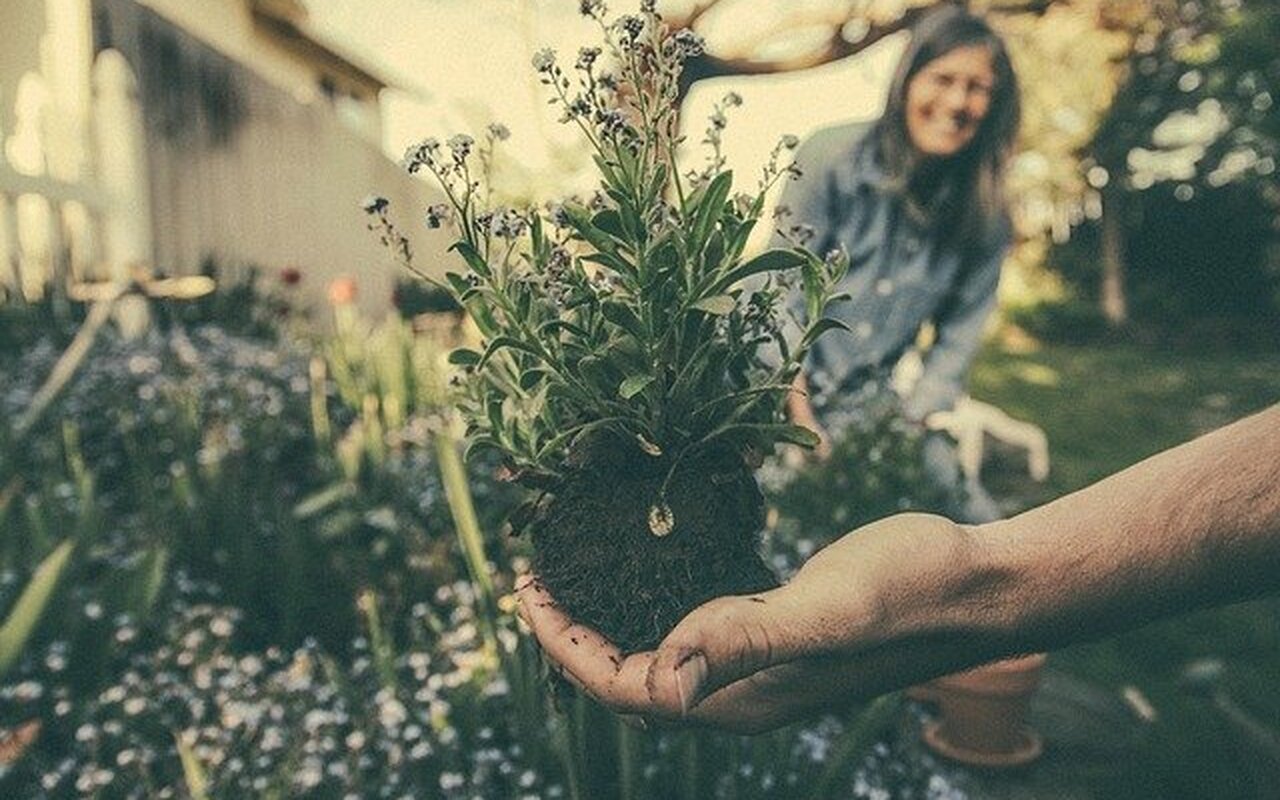 Za bolje zdravlje – budite aktivniji u bašti ili na terasi