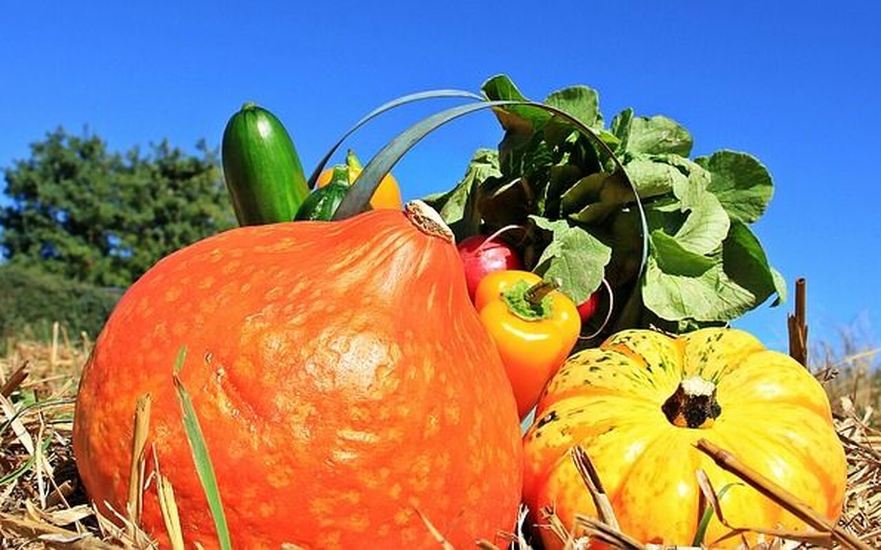 Voće i povrće koje bi obavezno trebalo da uvrstite u svoj jelovnik tokom jeseni