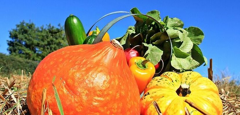 Voće i povrće koje bi obavezno trebalo da uvrstite u svoj jelovnik tokom jeseni