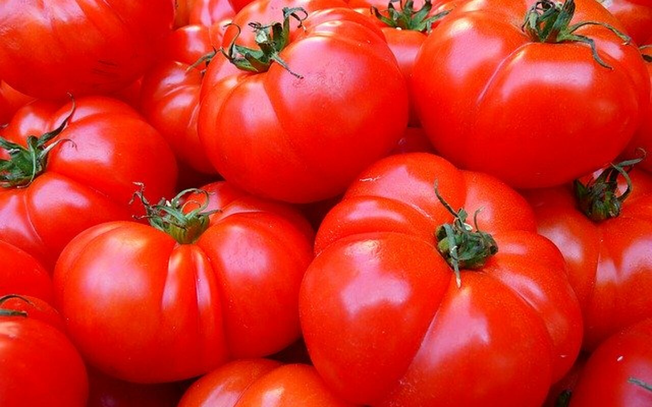 paradajz za visok pritisak