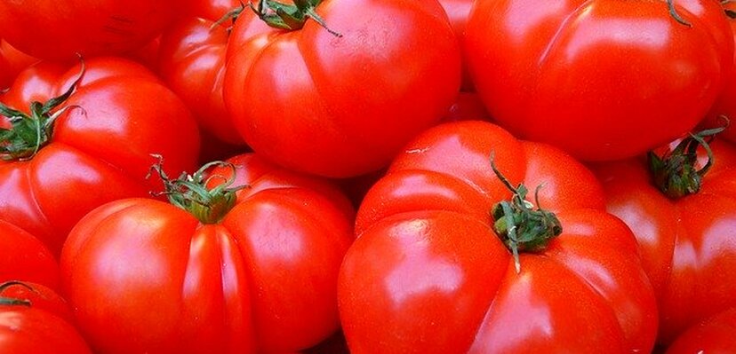 Čuvar vašeg zdravlja: Zašto treba jesti paradajz?