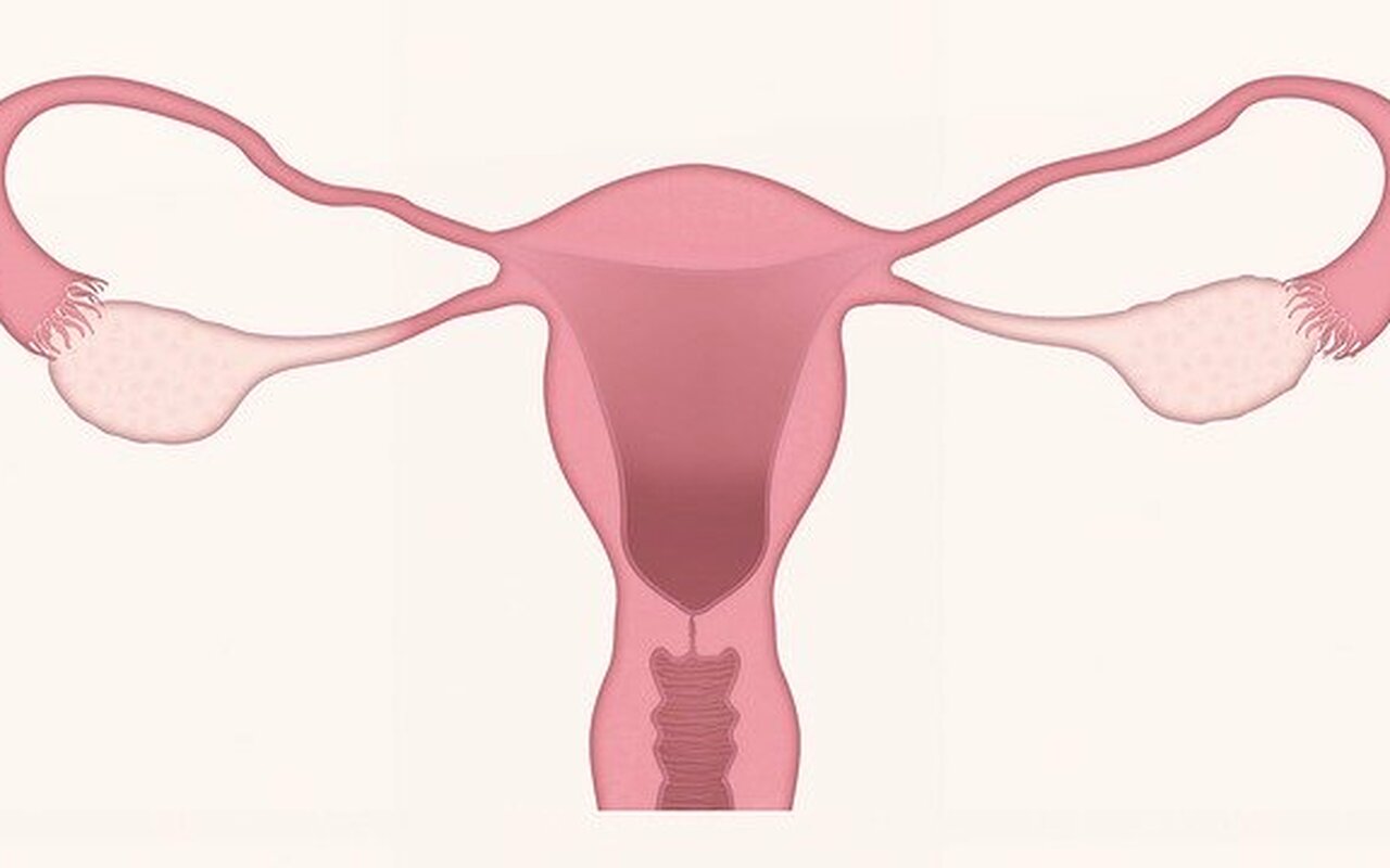 Seks i rak maternice