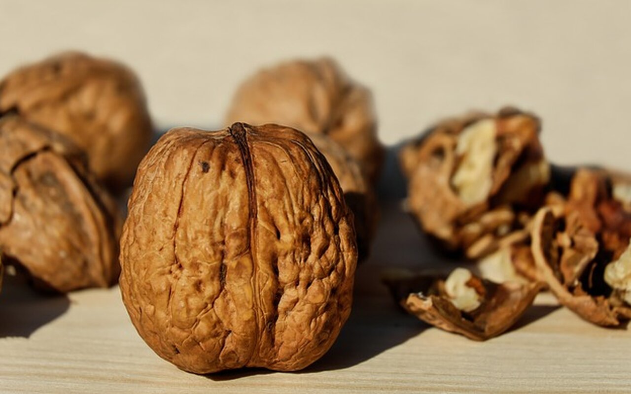 NOVA STUDIJA: Svakodnevno grickanje oraha može smanjiti „loš“ holesterol kod starijih osoba