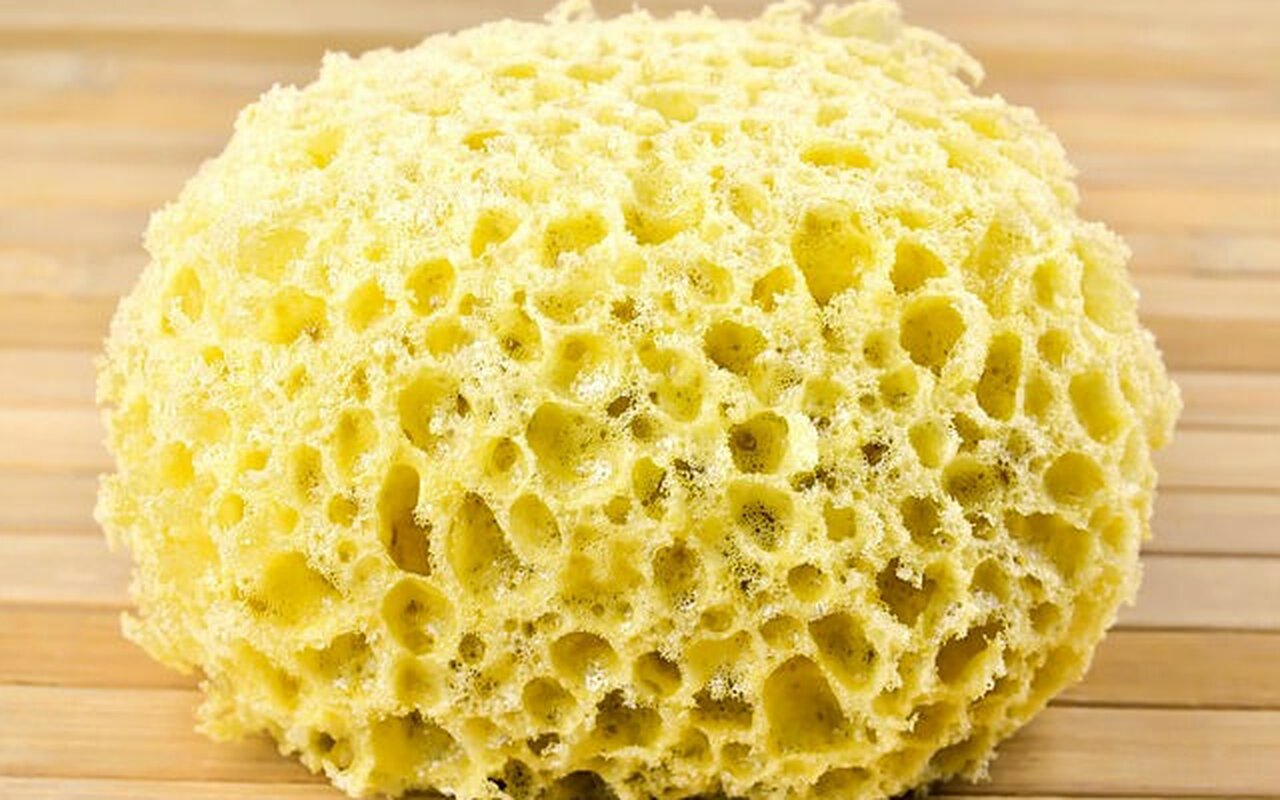 Tripofobija – neobična reakcija mozga ili skriveni mehanizam zaštite?