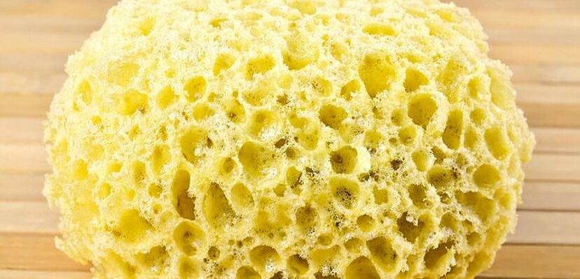 Tripofobija – neobična reakcija mozga ili skriveni mehanizam zaštite?