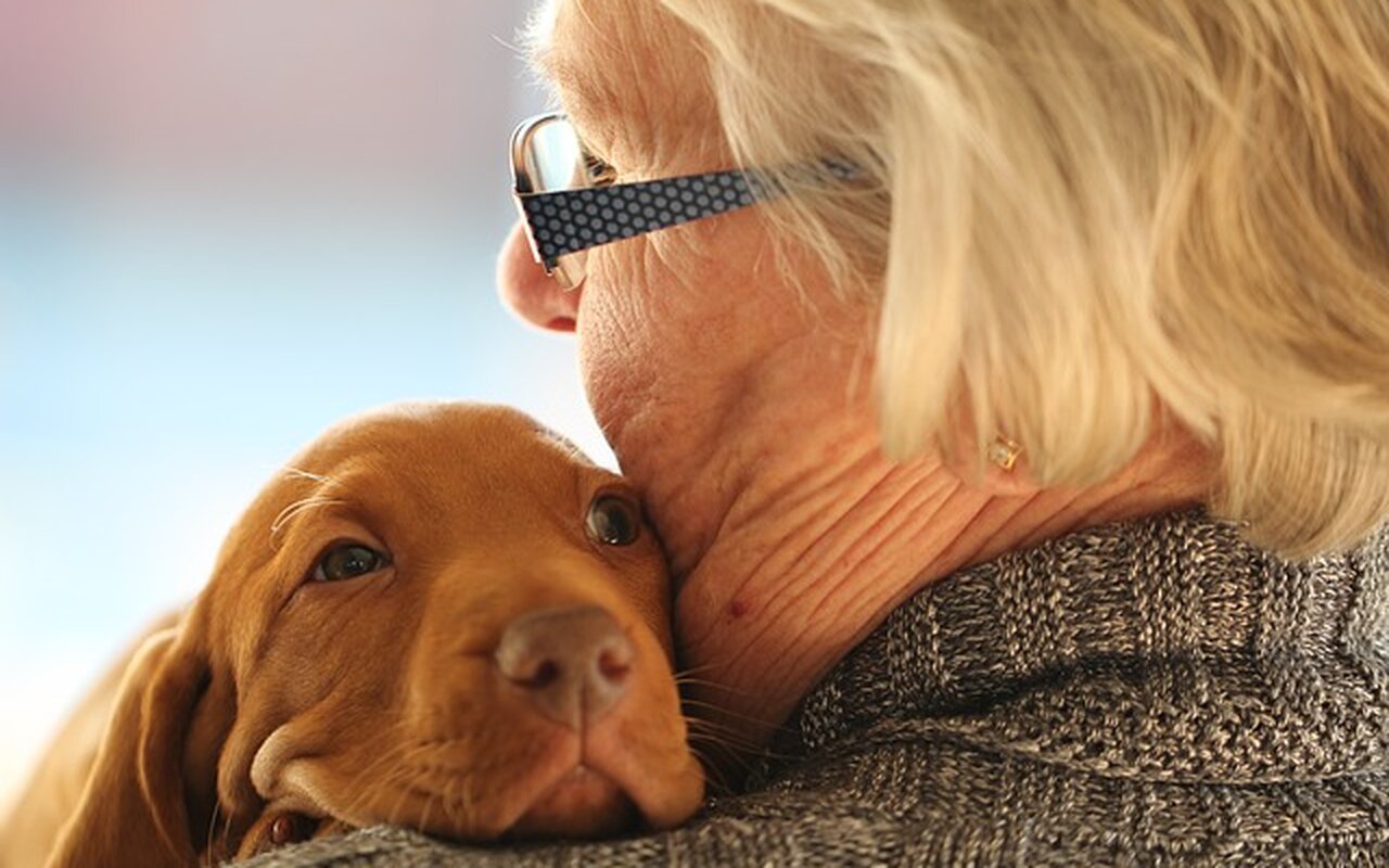 Psi su dragoceni u životu penzionera